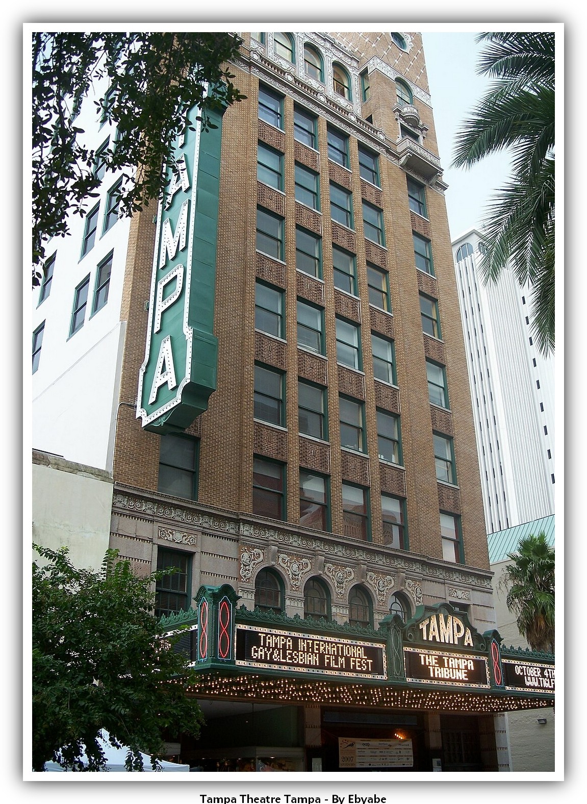 Tampa Theatre Tampa Theater Postcard