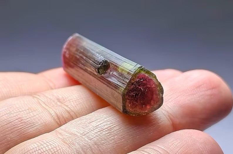 Terminated Watermelon Tourmaline Crystal From Afghanistan - 64 carats