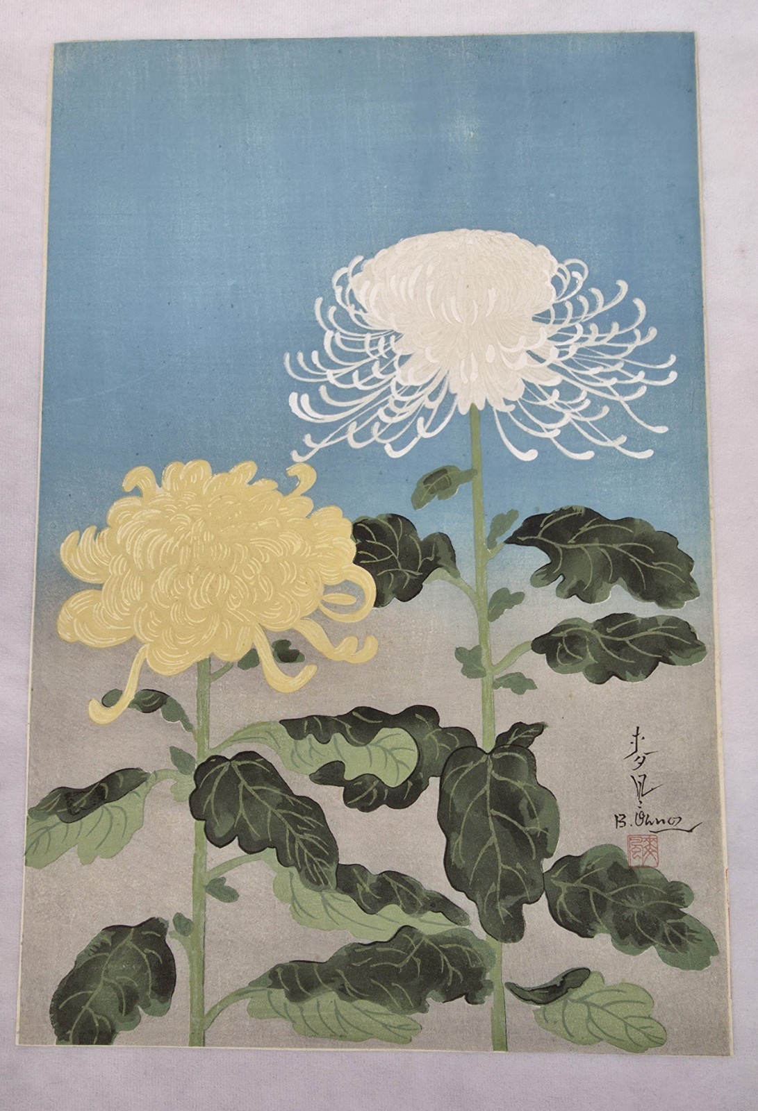 Beautiful Bakufu Ohno Yellow Chrysanthemum Signed Japanese Woodblock Print