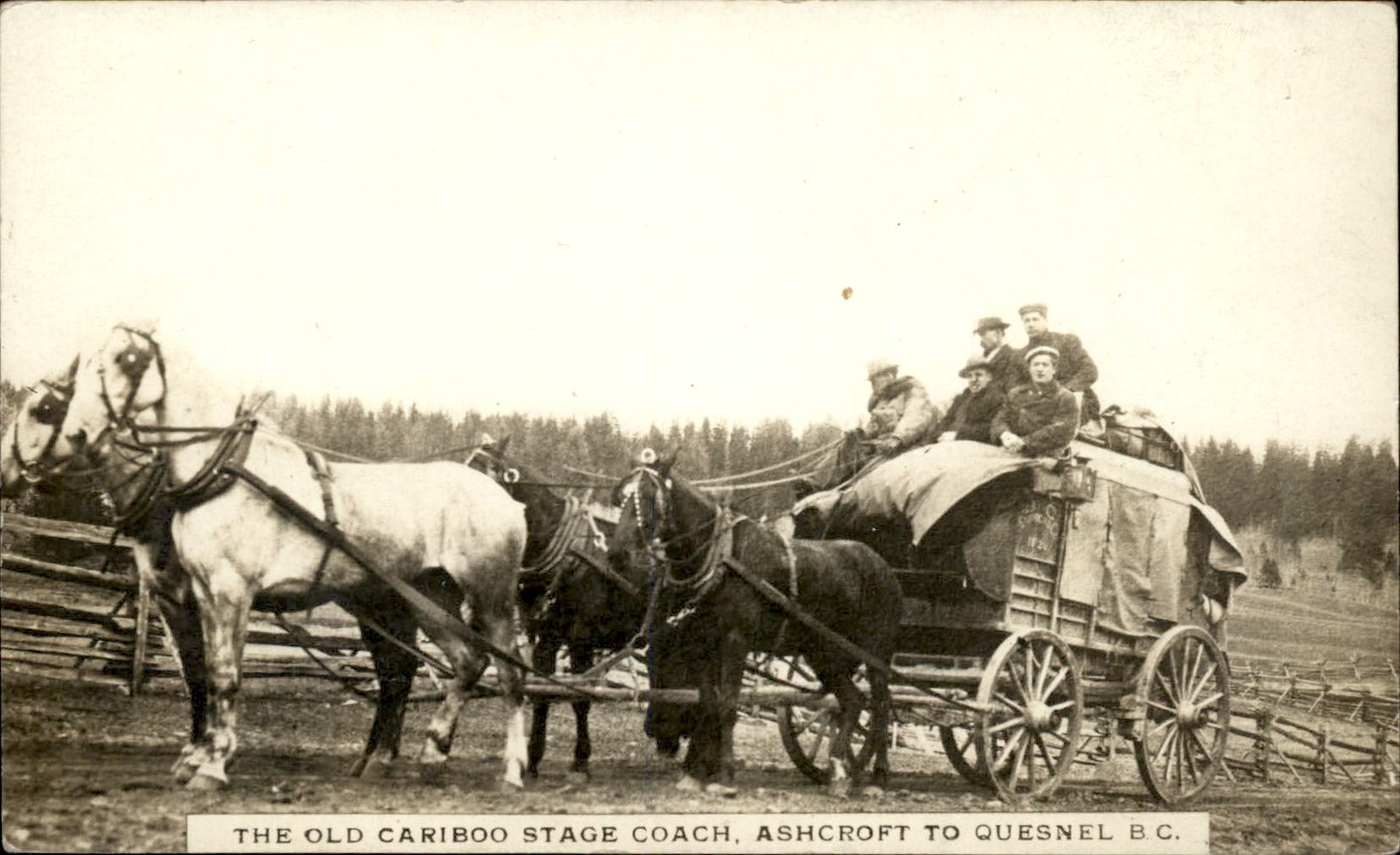 BC Stage Coach Cariboo Ashcroft Quesnel c1900s-10s Real Photo Postcard bhn