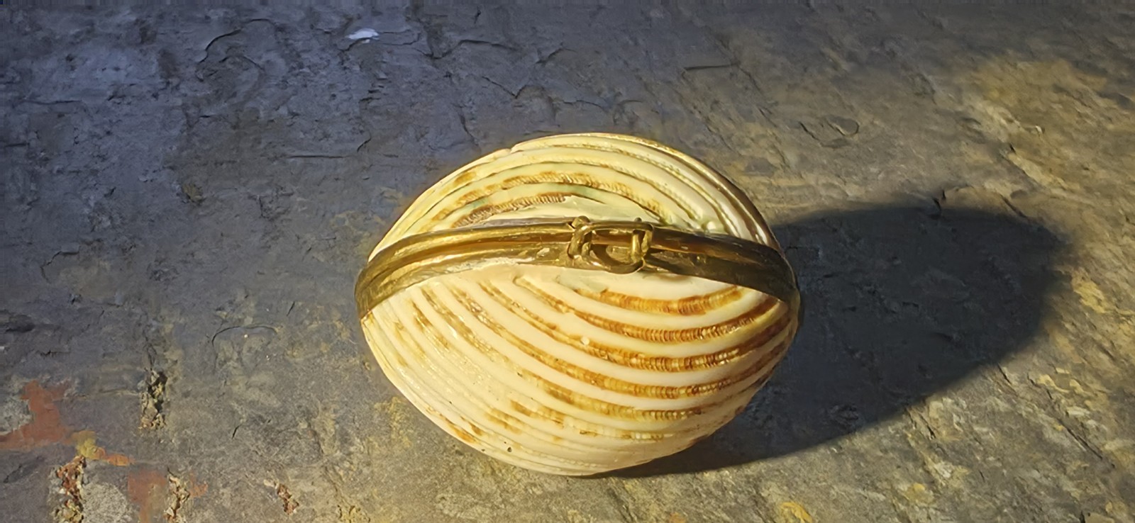 Antique Victorian Natural Shell Coin Purse Brass Hinged Trinket Box c1890