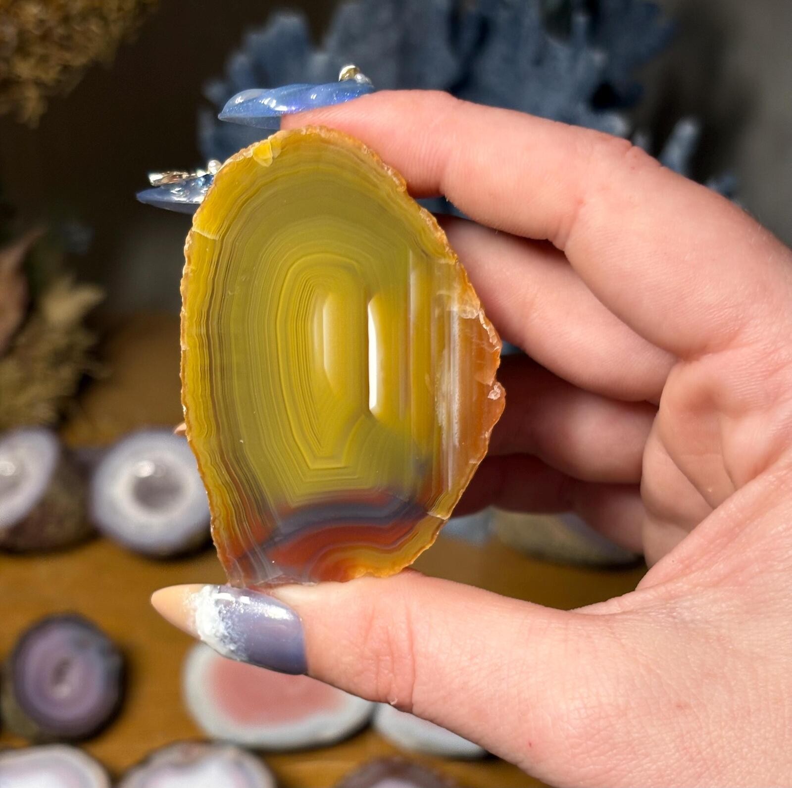 Queensland Creek Agate • Natural Australian Banded Agate Slice (Polished)