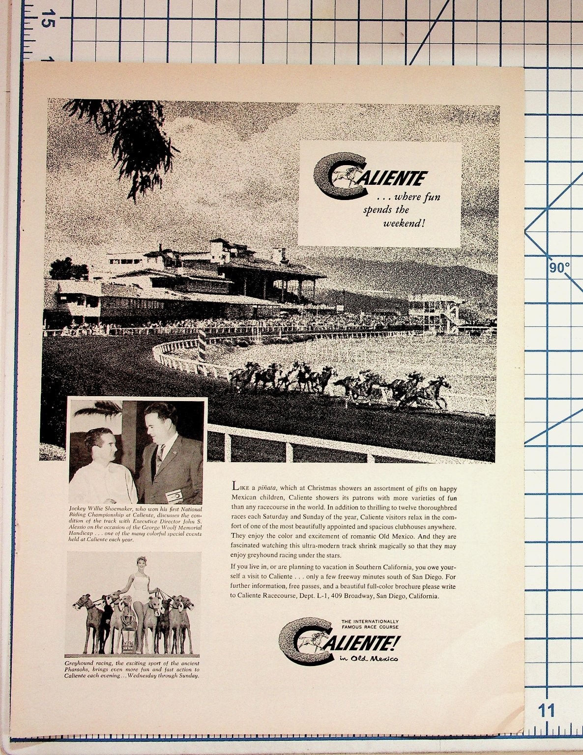 Vintage Caliente Race Course Ad Tijuana Mexico Willie Shoemaker Horse Greyhound
