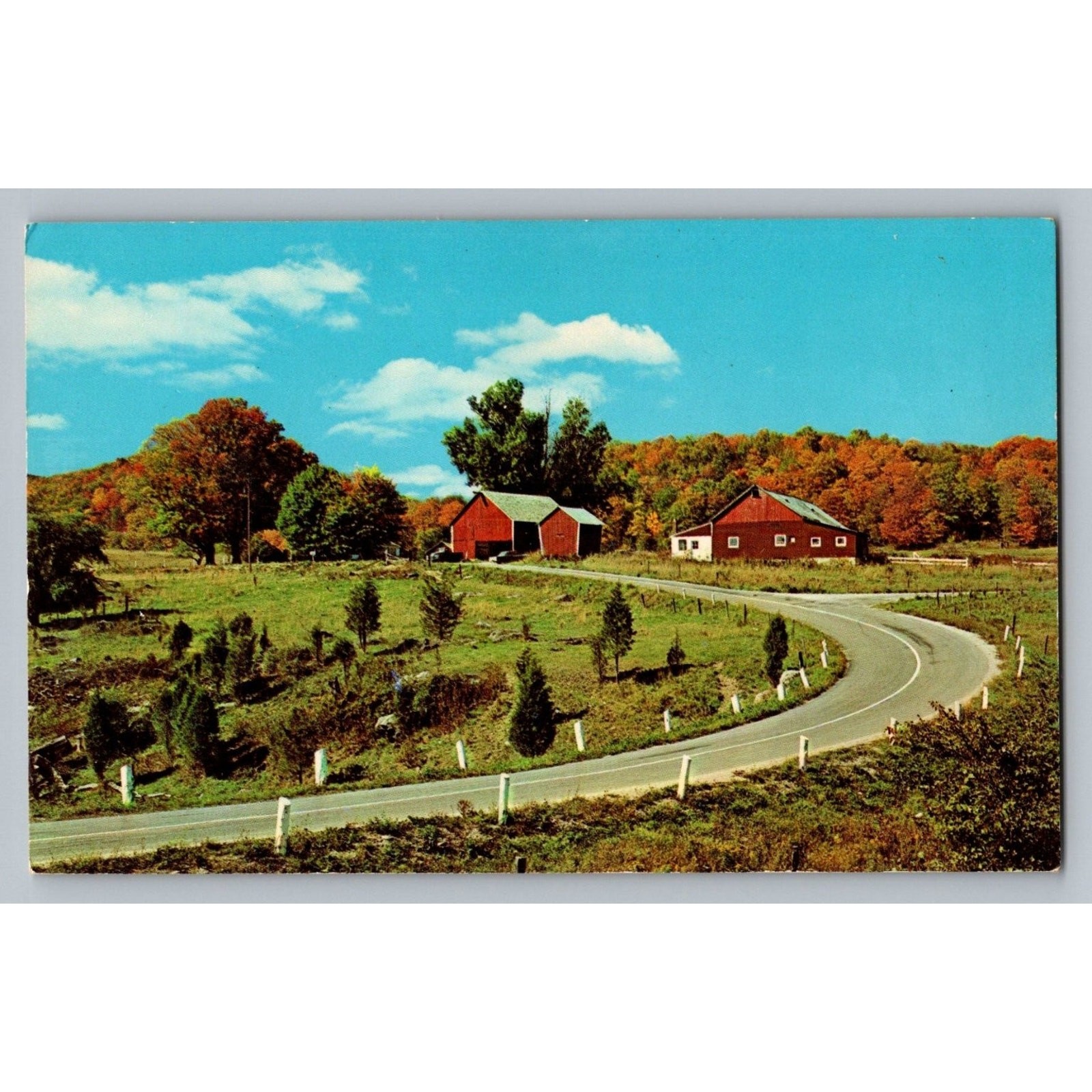 Pocono Mountains PA Vintage Postcard Autumn Farm Barns Winding Road 1969