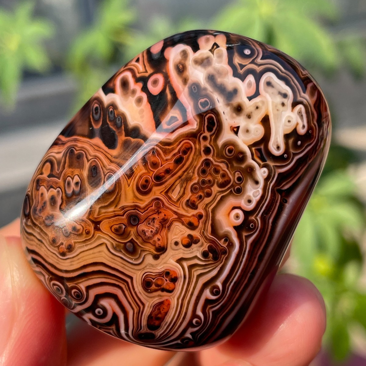 65g Natural Banded Agate Carnelian Polished Palm Stone Crystal Specimem Healing