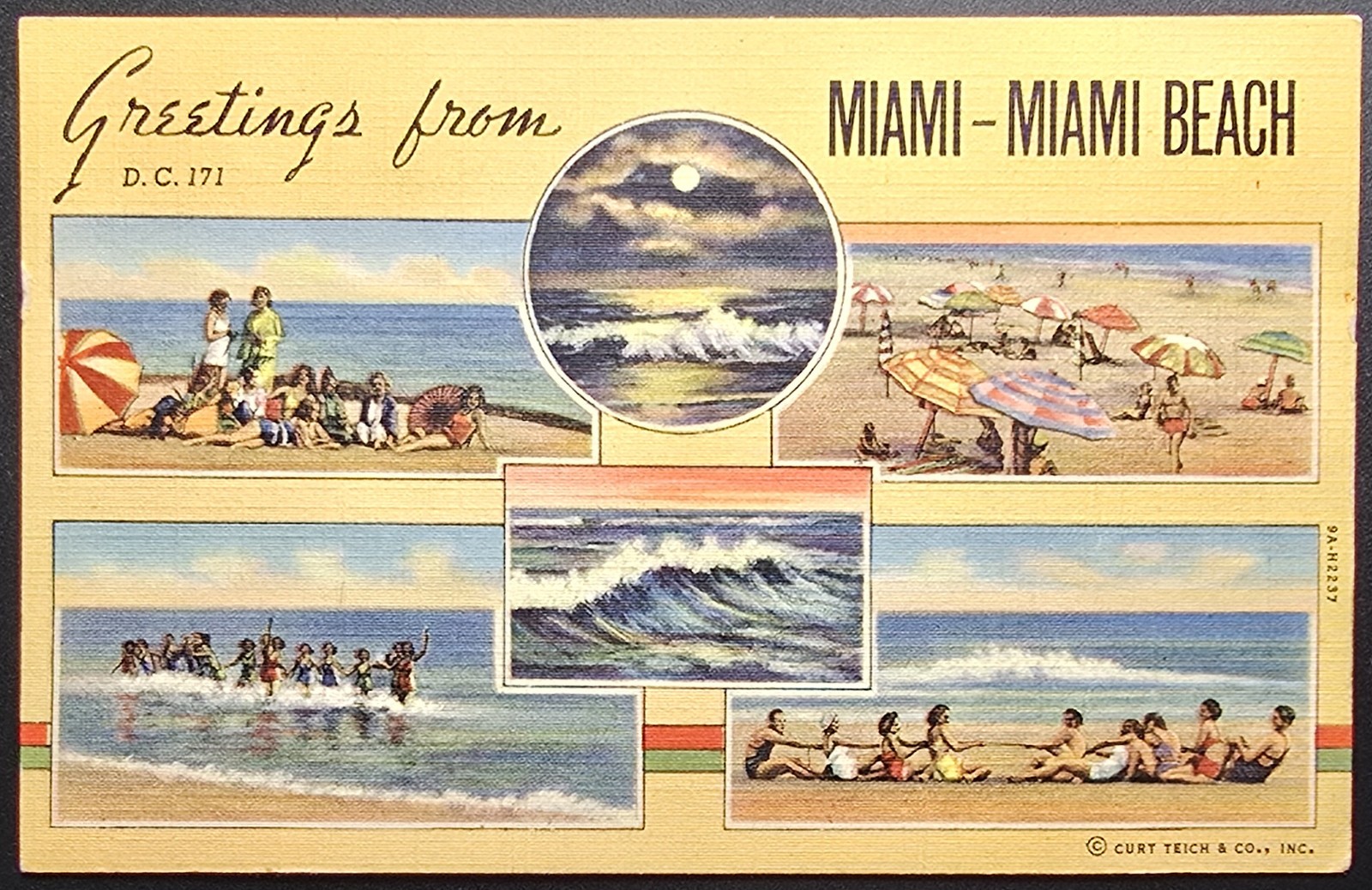 Greetings from Miami Miami Beach FL Vintage Curt Teich Linen Postcard
