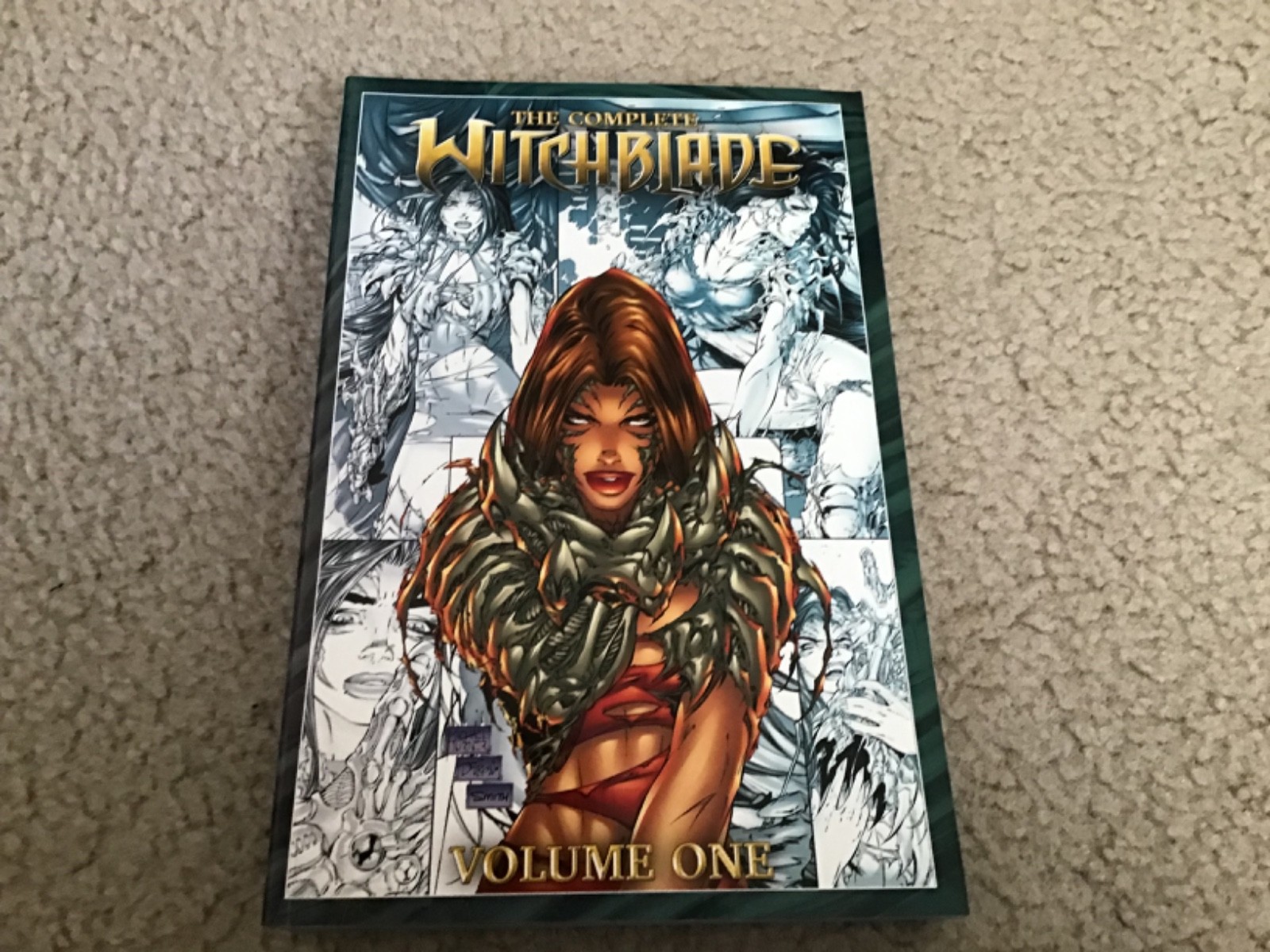 the complete witchblade volume 1