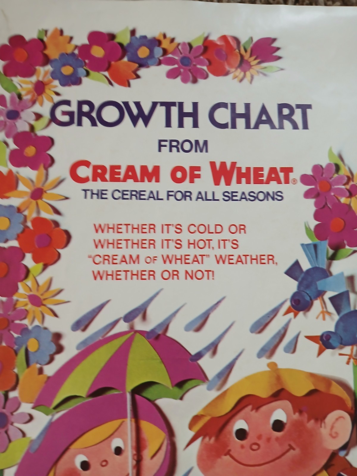 Vintage 1970s Cream of Wheat Child Growth Chart Advertising Poster
