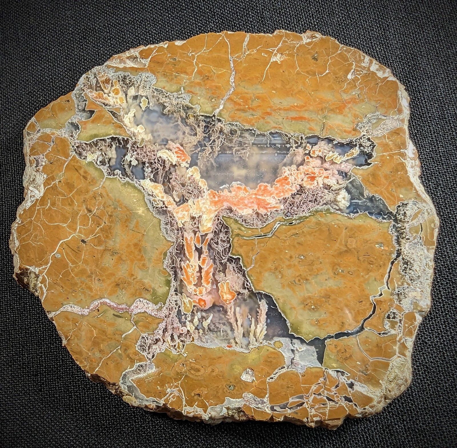 Priday Plume Agate Polished Slab - Collector Mineral Specimen