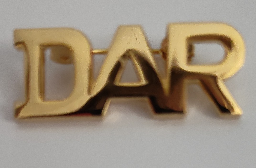 NSDAR DAR Gold Pin 1.25