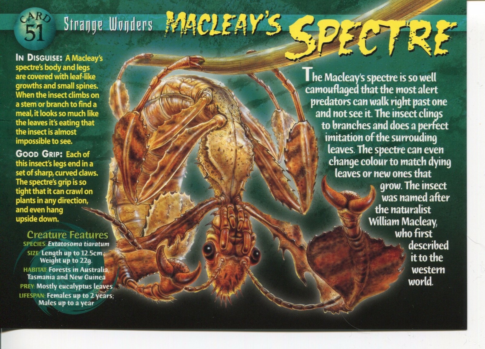 Weird N’ Wild Creatures Strange Wonders Card 51 # Macleay's Spectre # LC6