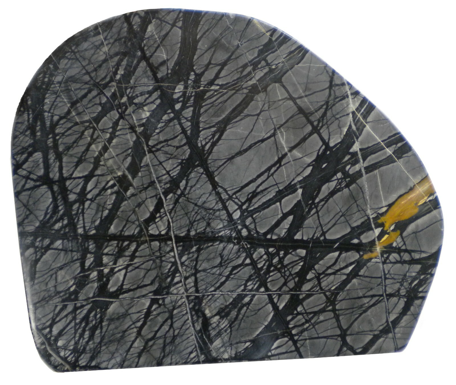 Picasso Stone Slab Natural Specimen - 1446g / 3 lb 3 oz - 7 x 8 x 1/2\