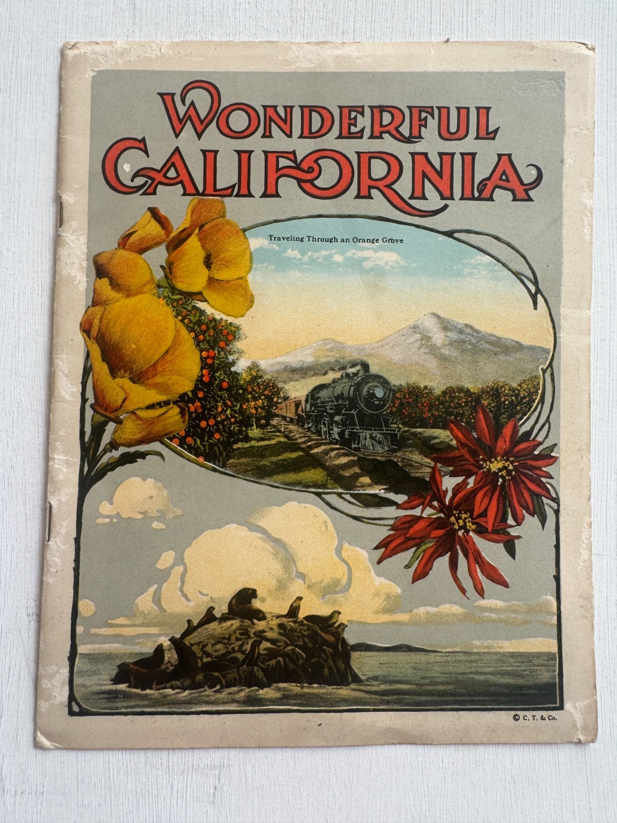 1920\'s  Wonderful California Picture Book w/ Old Amazing Photos of California