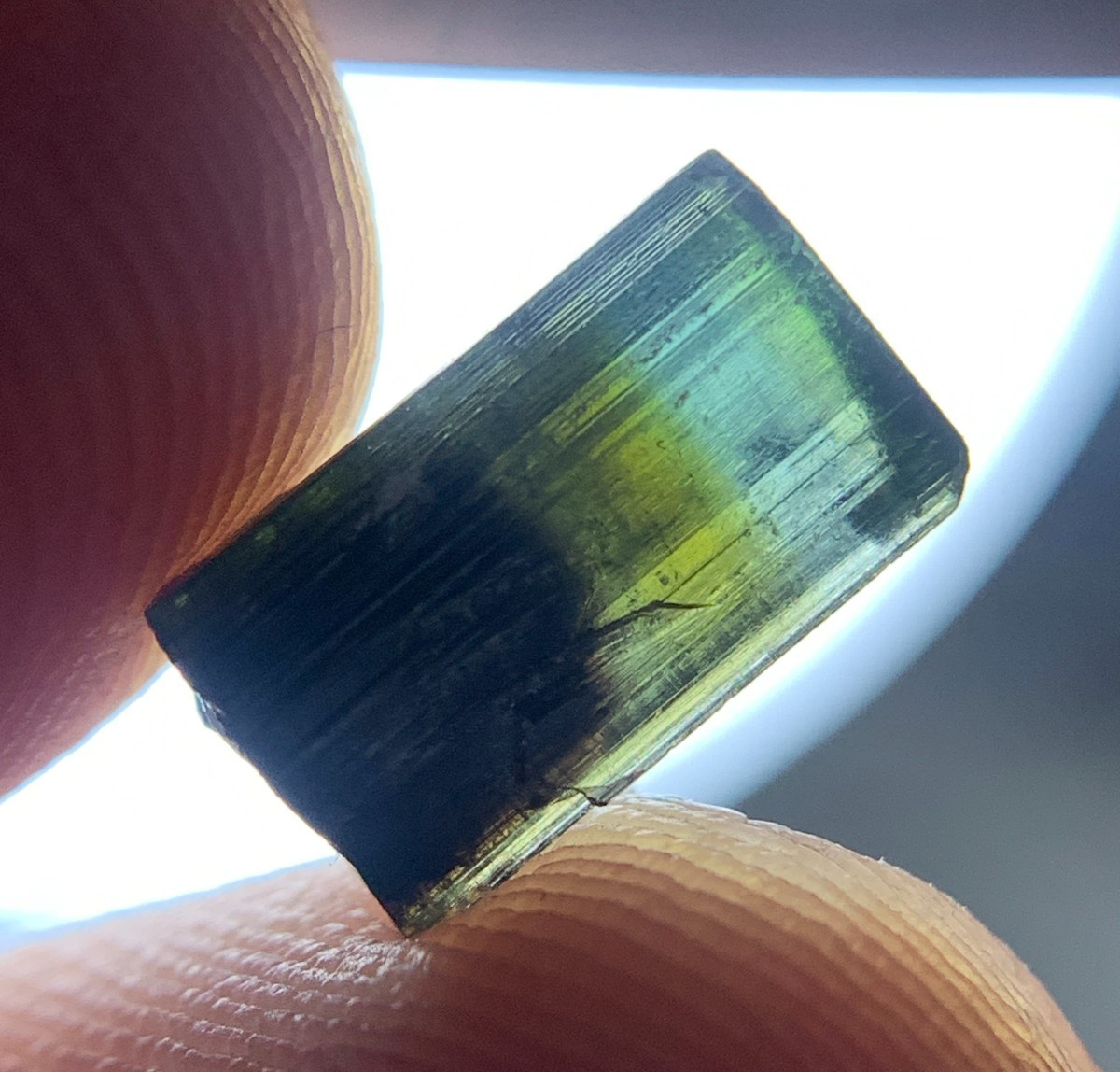 2.90 Carat Green Cap Tourmaline Crystal Specimen From Pakistan