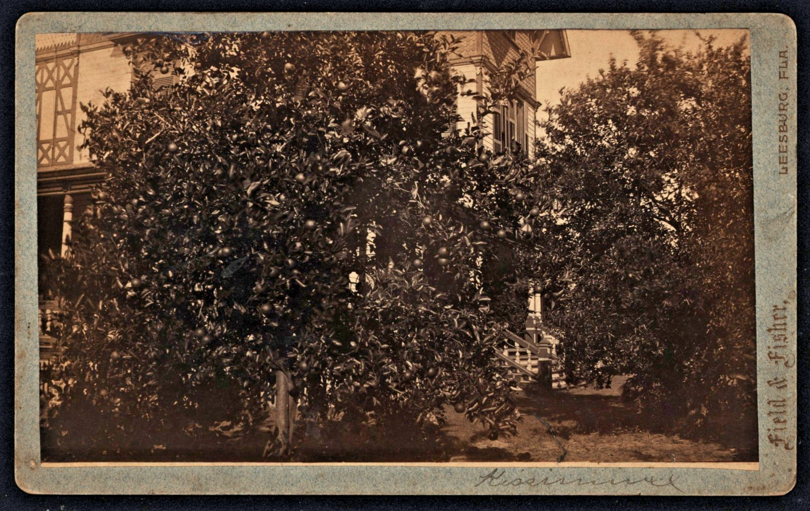 A 1890's home in Kississisme, Florida~By~Fields & Fisher ~ Leesburg, Fla.
