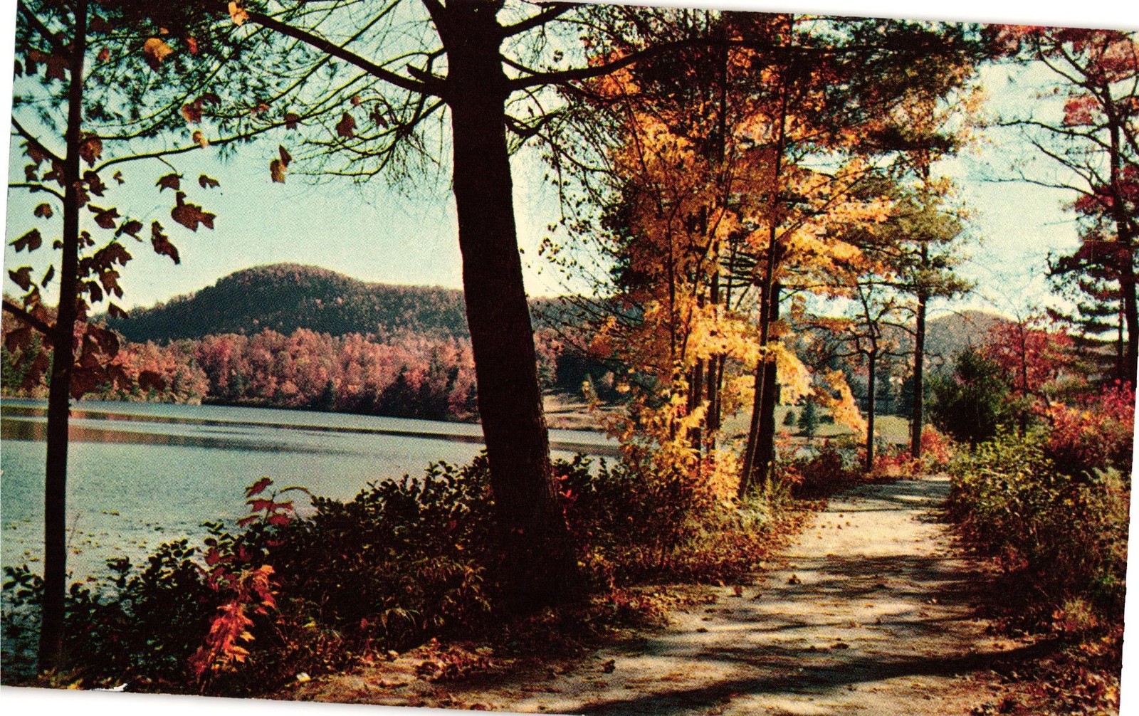 Greetings From Sunbury PA Peaceful Autumn Lakeside Path Trees Mountains Postcard