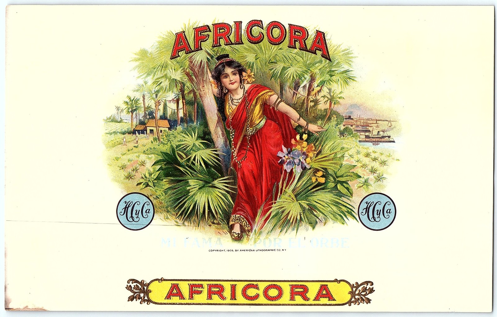 1901 AFRICORA cigar label, tropical woman, vibrant art