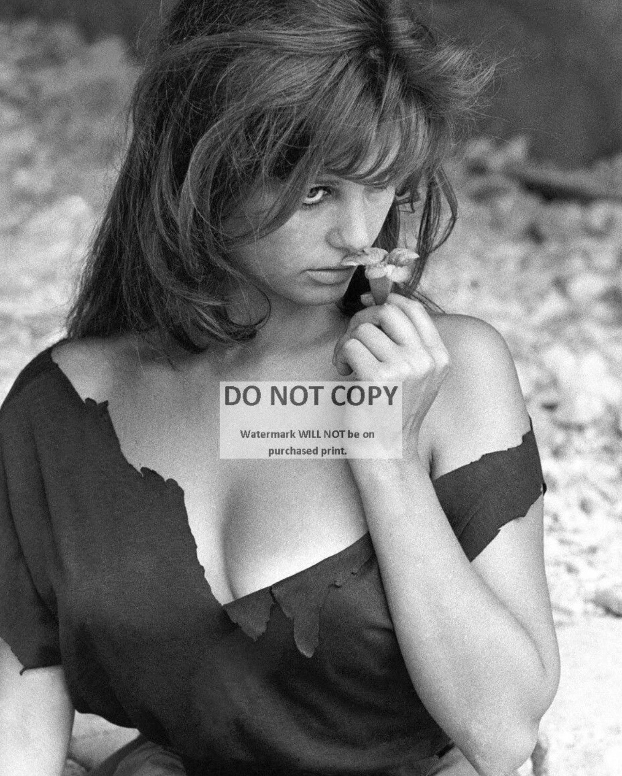 CLAUDIA CARDINALE ITALIAN ACTRESS - 8X10 PUBLICITY PHOTO