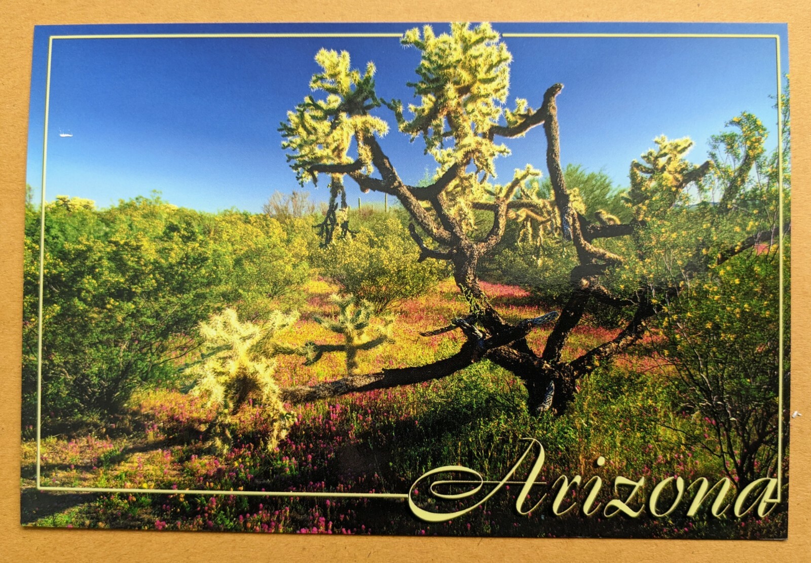  Postcard AZ: Arizona desert