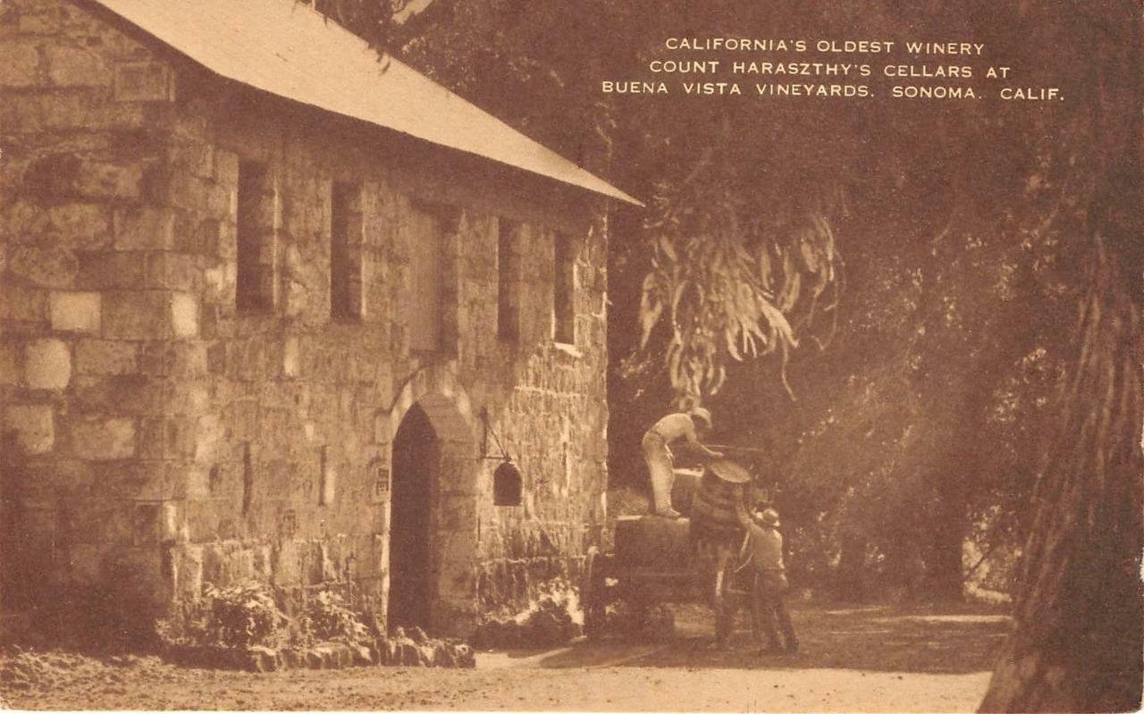 Haraszthy\'s Cellars BUENA VISTA VINEYARDS Sonoma, CA Winery Vintage Postcard