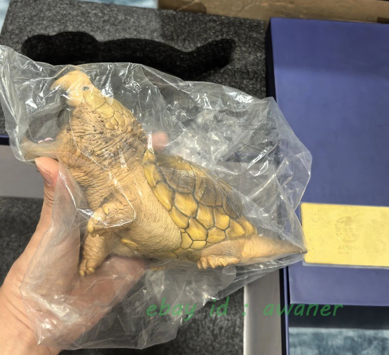 Animal Heavenly Body Alligator Animal Model Tortoise 2024 Limited 88 Collectible