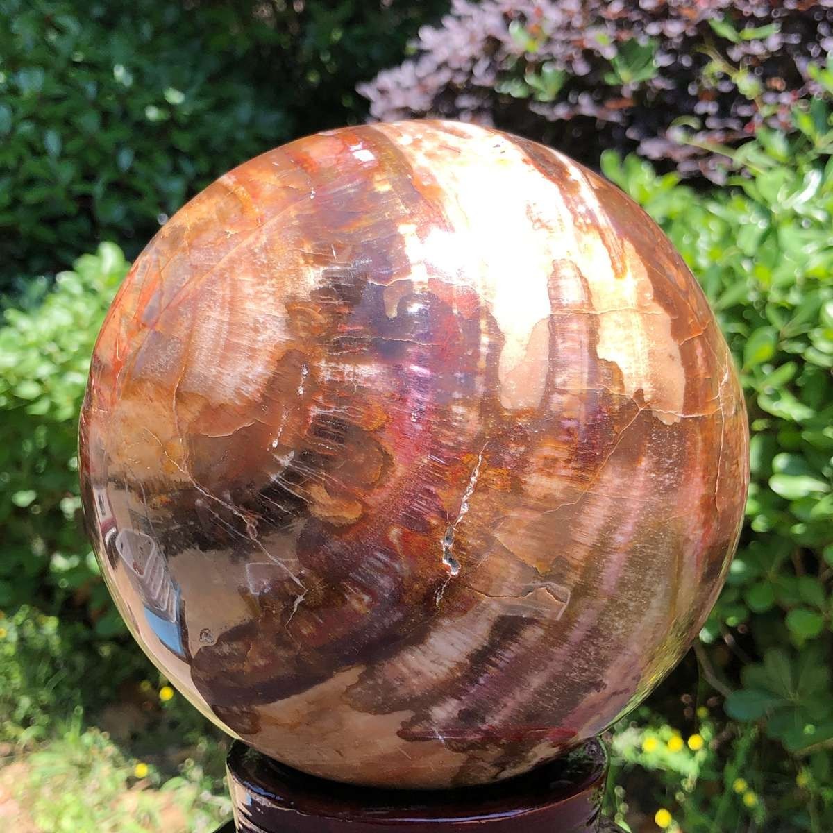 10.58 LB Large Natural Petrified Wood Agate Sphere Crystal Healing Specimen 5665
