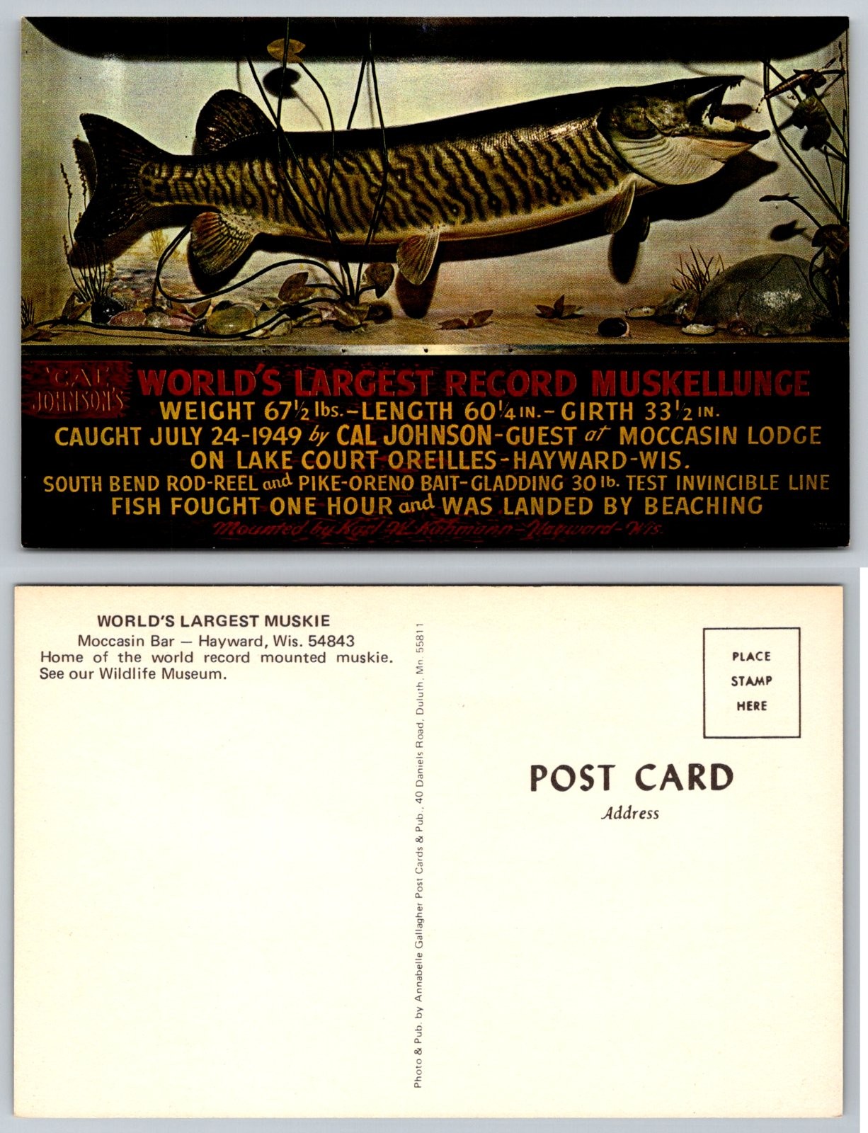 Standard World\'s Largest Muskie Moccasin Bar Hayward Wisconsin Postcard