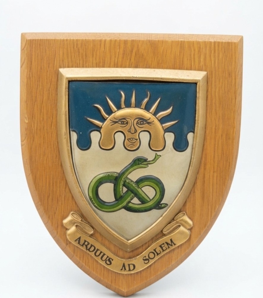 Vintage Manchester University Shield Crest Arduus Ad Solem Heraldic UK