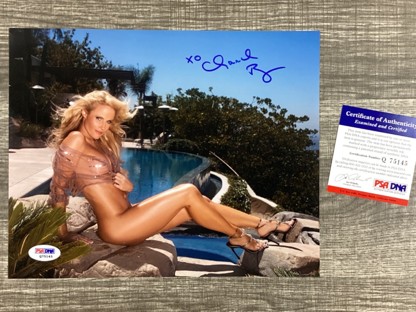 (SSG) Hot & Sexy CHANEL RYAN Signed 10X8 Color Photo 