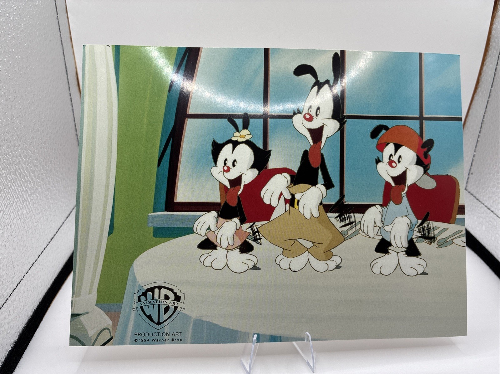 ANIMANIACS Original 1994 Promo  ADVERT Warner Bros Character Profiles Art Card