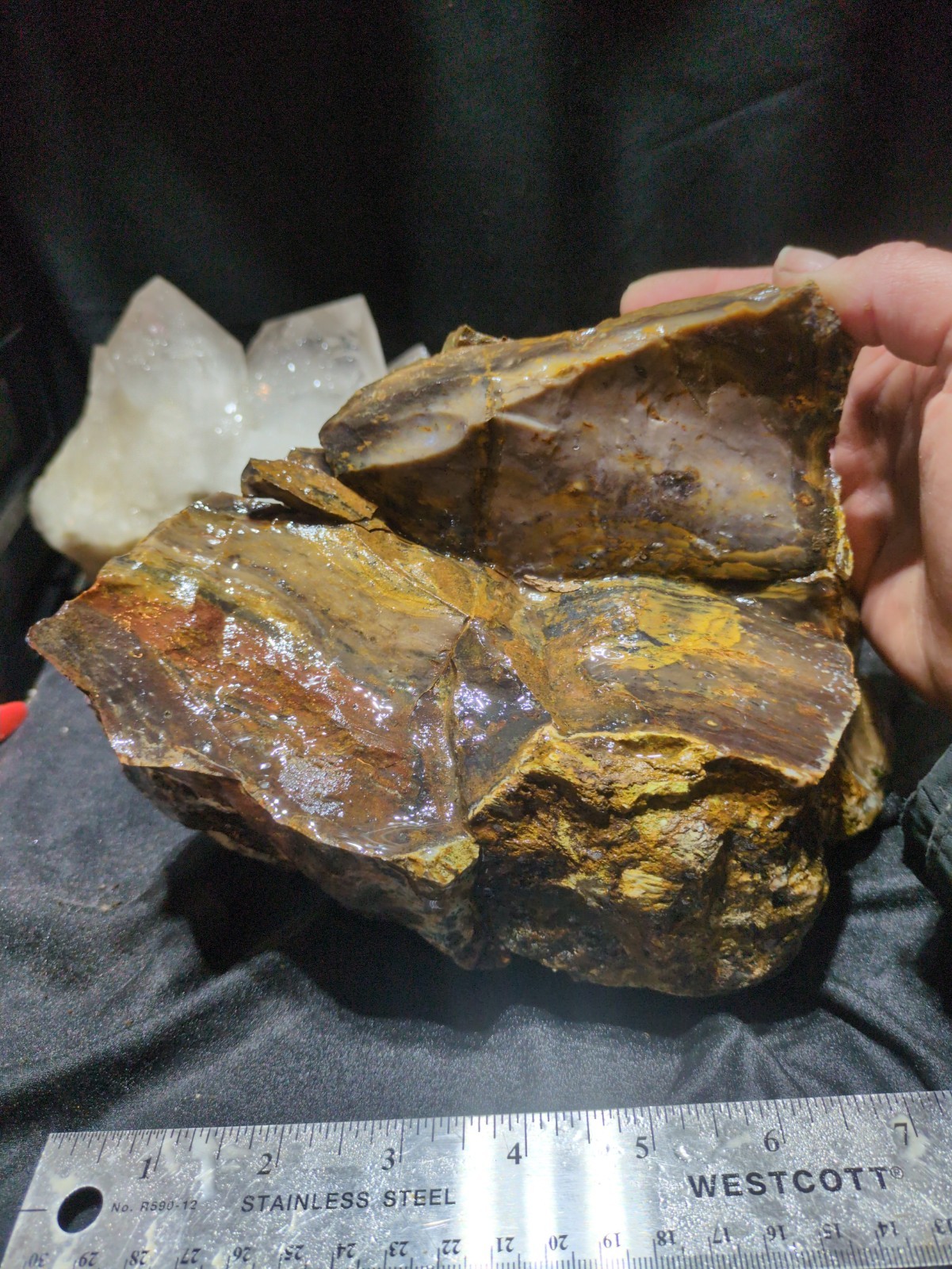 Biggs Jasper Specimen w/ Dendric Natural Form (7lbs 12oz)