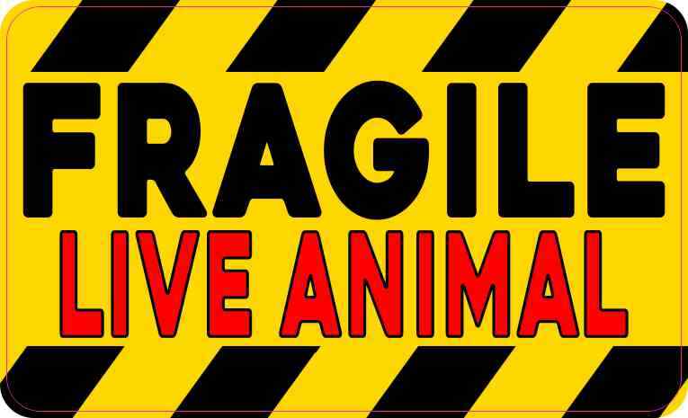 5in x 3in Red Fragile Live Animal Sticker Car Truck Vehicle Bumper Decal