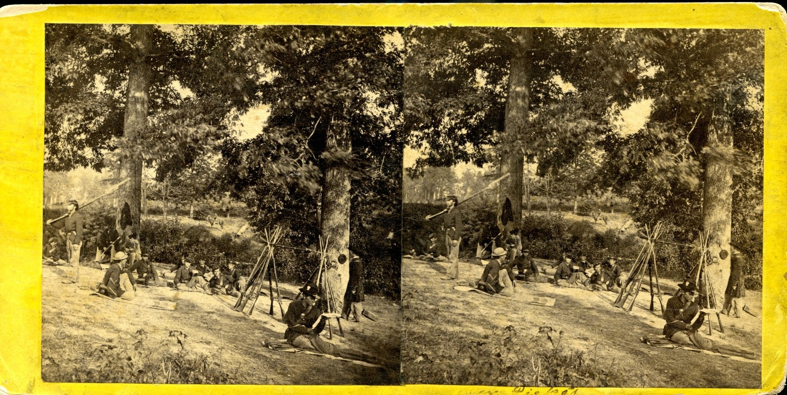 134 Illinois Infantry Under Trees -  Civil War Stereoview Card