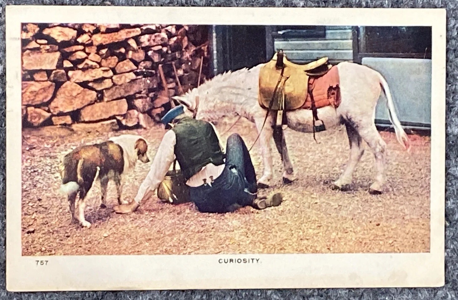 Vintage Postcard 1909 Horse Dog Curiosity Williamson Haffner Posted