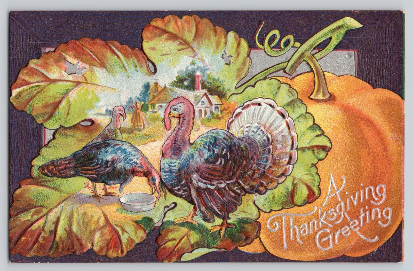 Thanksgiving Greeting Turkeys Pumpkin Embossed Antique Postcard c1910