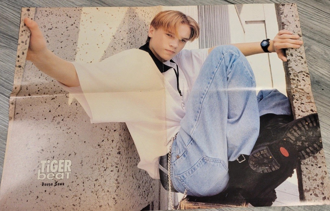 16x20 Devon Sawa And No Doubt Vintage Poster