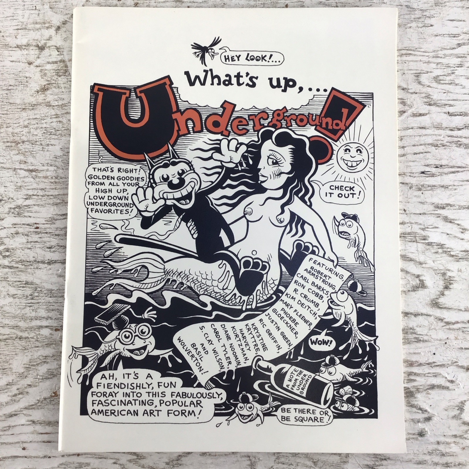 What's Up Underground 1995 Catalogue With  R. Crumb, Kim Deitch, Robt comic