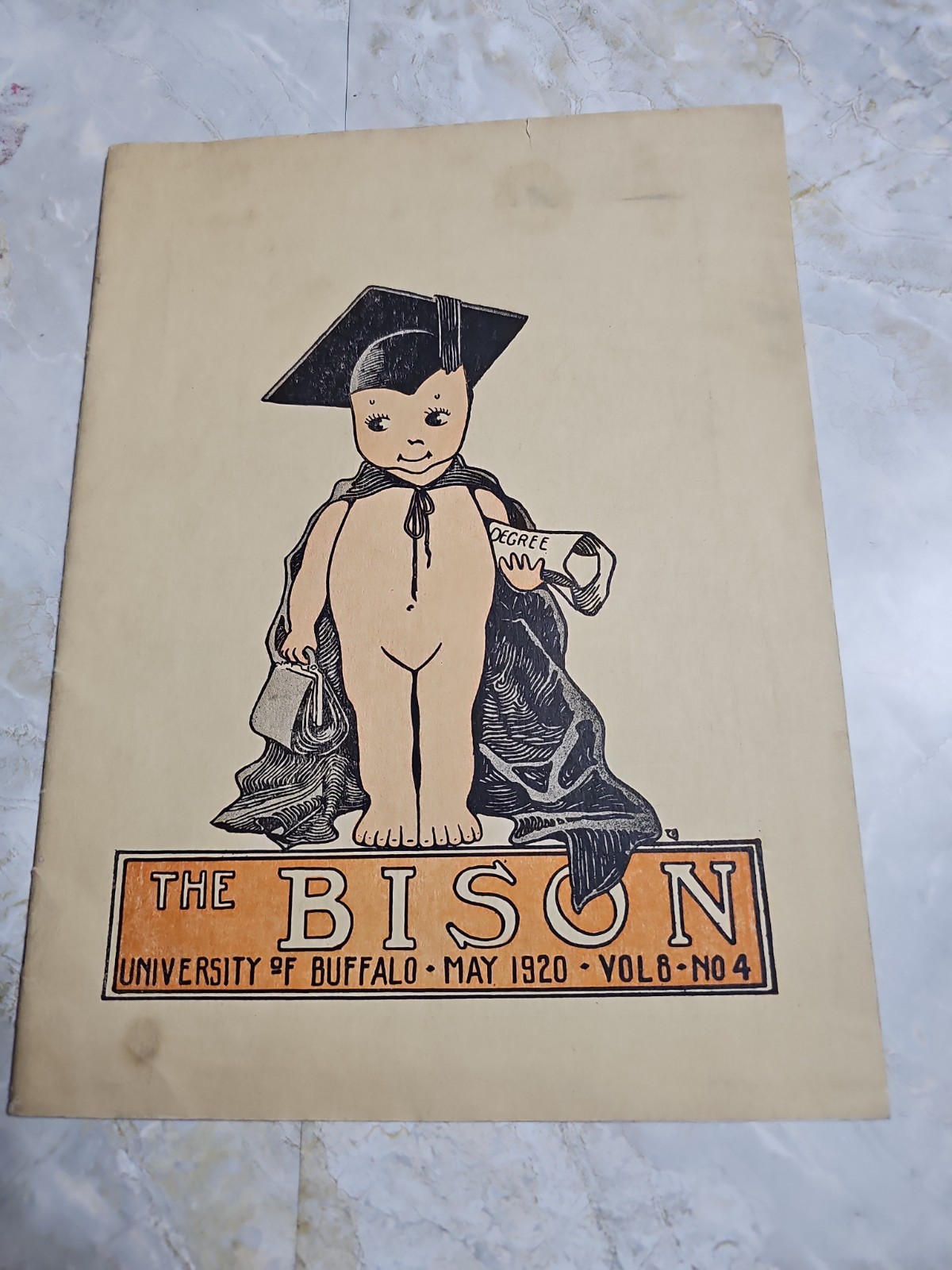 1920 The Bison University of Buffalo Student Magazine Vol 8 No 4 Vintage UB...