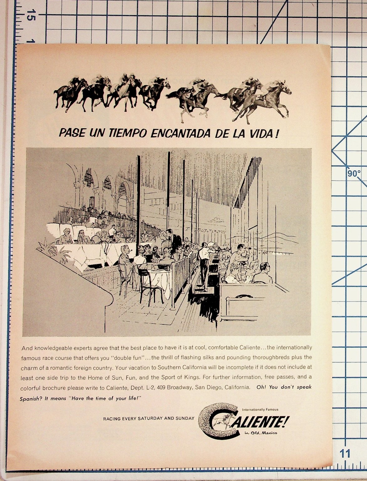 Vintage CALIENTE Race Course Tijuana Mexico Ad Horse Racing Ephemera