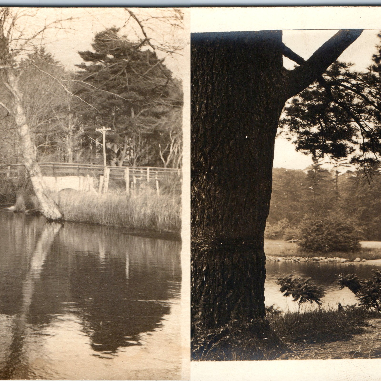x2 RPPC LOT c1910s Landscapes Sharp Tree Scenic Beauty Water Pond Bridge A380