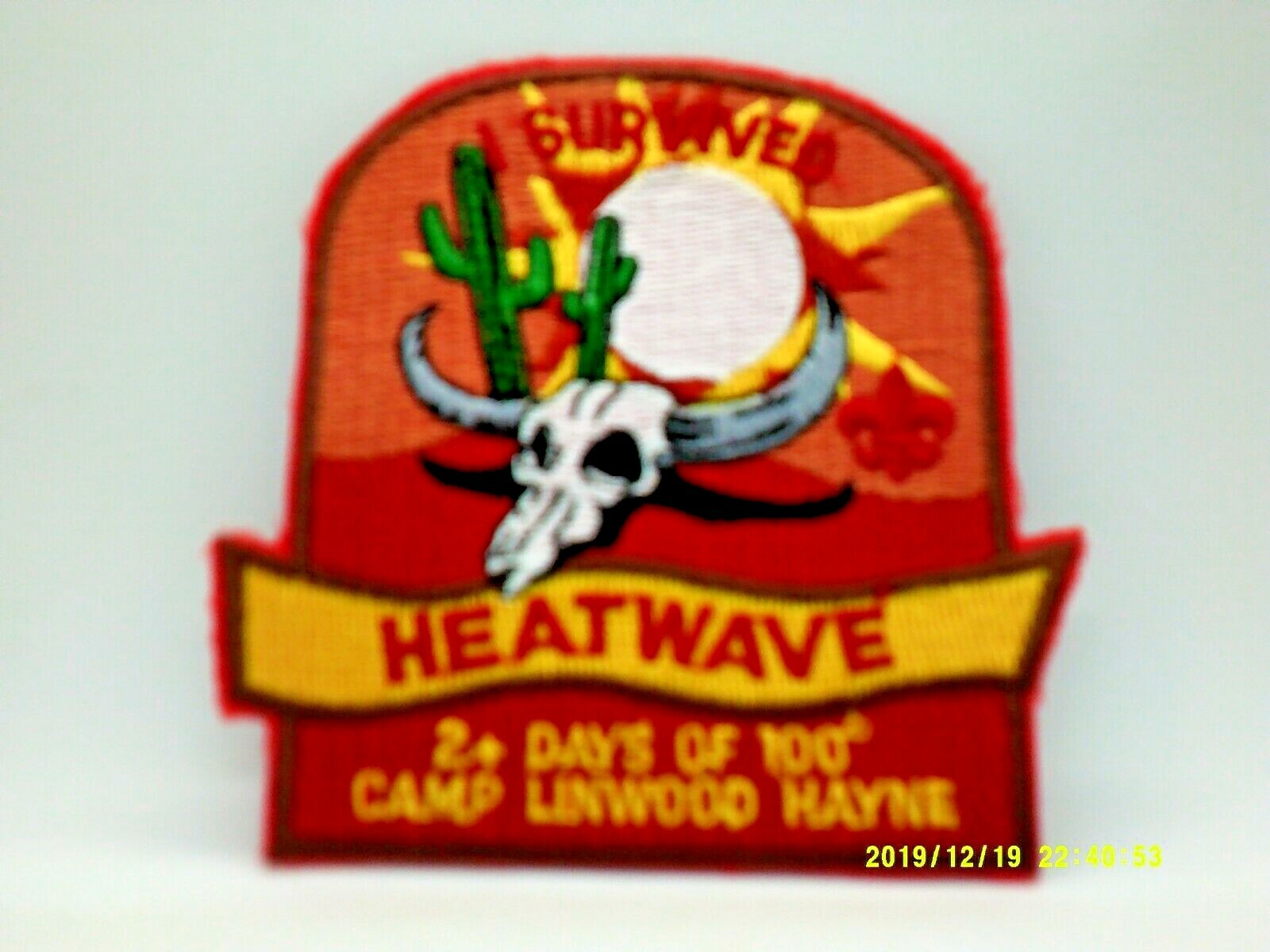  BSA  SURVIVED  HEATWAVE   2+DAYS OF 100 DEGREES  CAMP LINWOOD HAYNE  NEW 