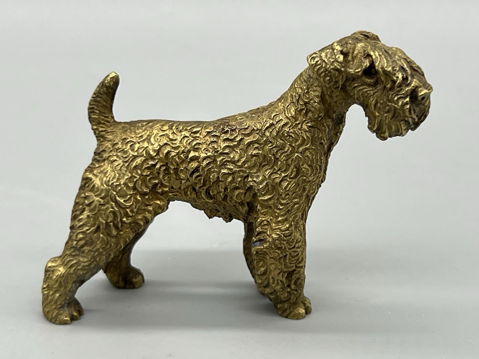 VTG Austrian Cold Painted Bronze Airedale Terrier 2.75” Long NICE