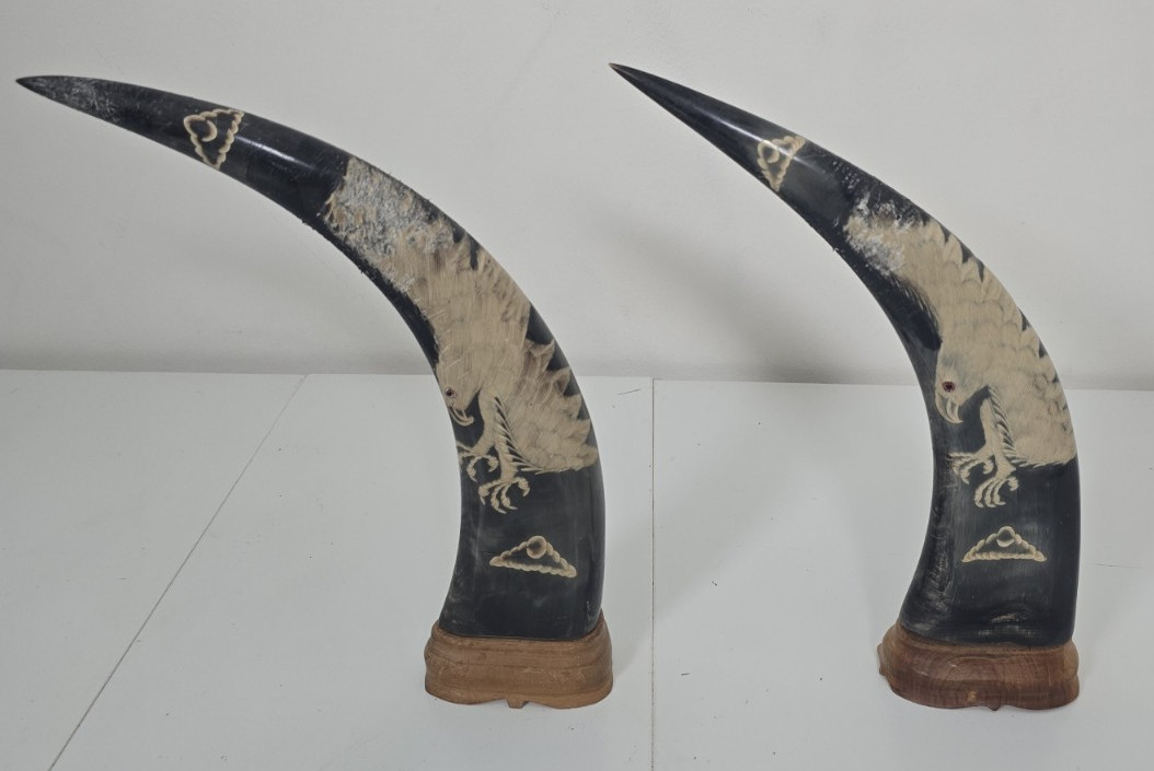 Pair 13