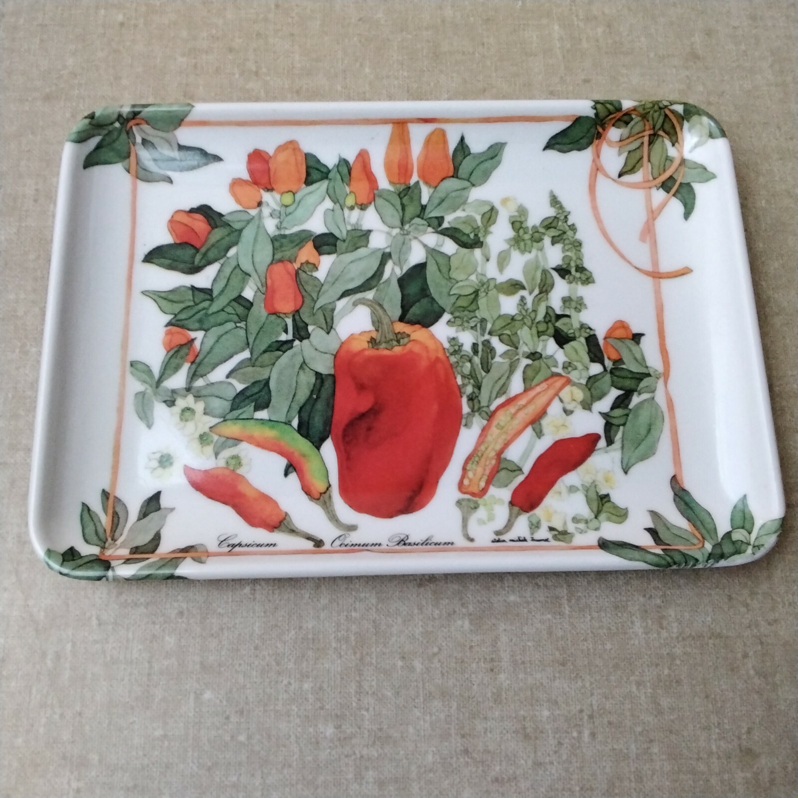 RDE Imports Pepper 4x6 Melamine Tray
