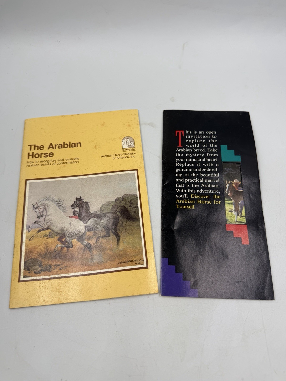 Vintage Arabian Horse Registry America Booklet Lot 2 Horse Breeding Conformation