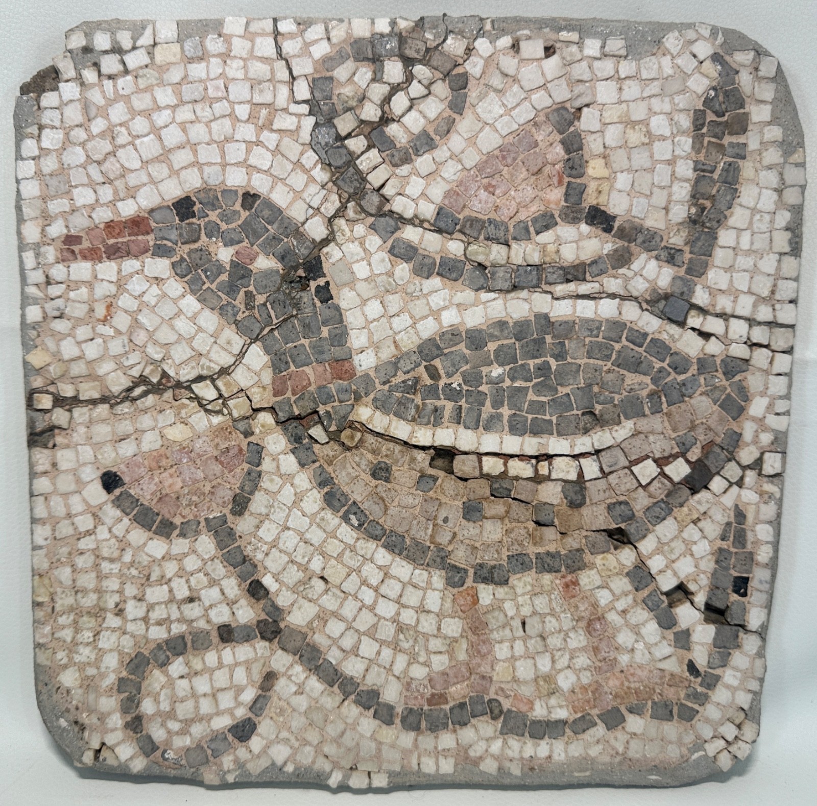 Ancient Greco Roman Byzantine Mosaic Marble Tile Tesserae Remnant Bird Duck