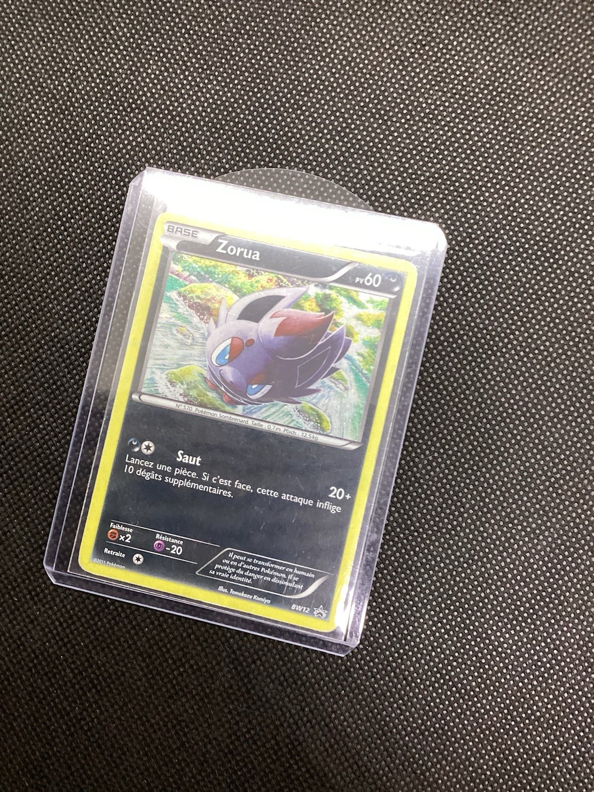 Pokemon Zorua BW Black Star BW12