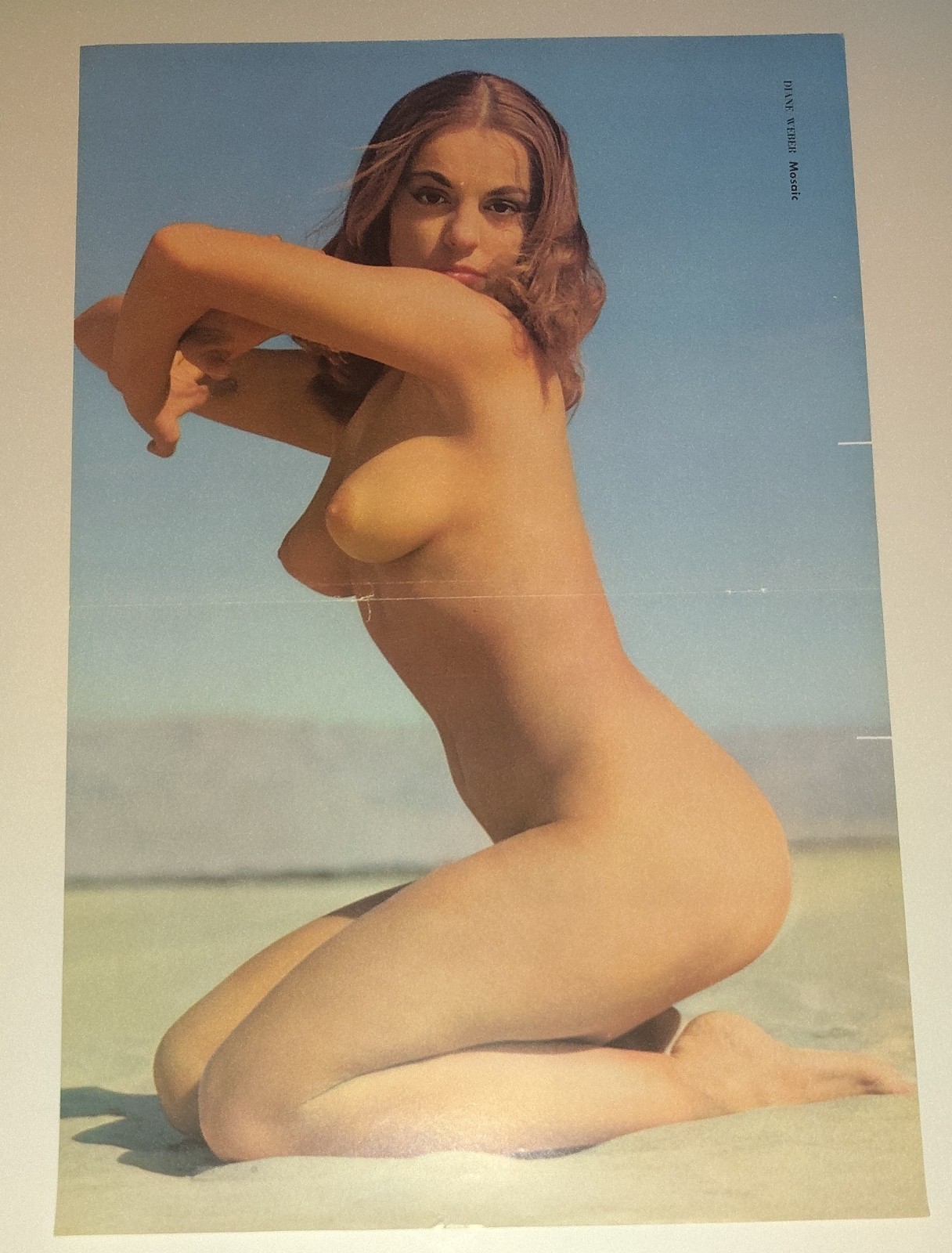 Vintage 1950s Diane Weber Pinup Photo Art Mosaic Los Angeles Layout Set LotAn