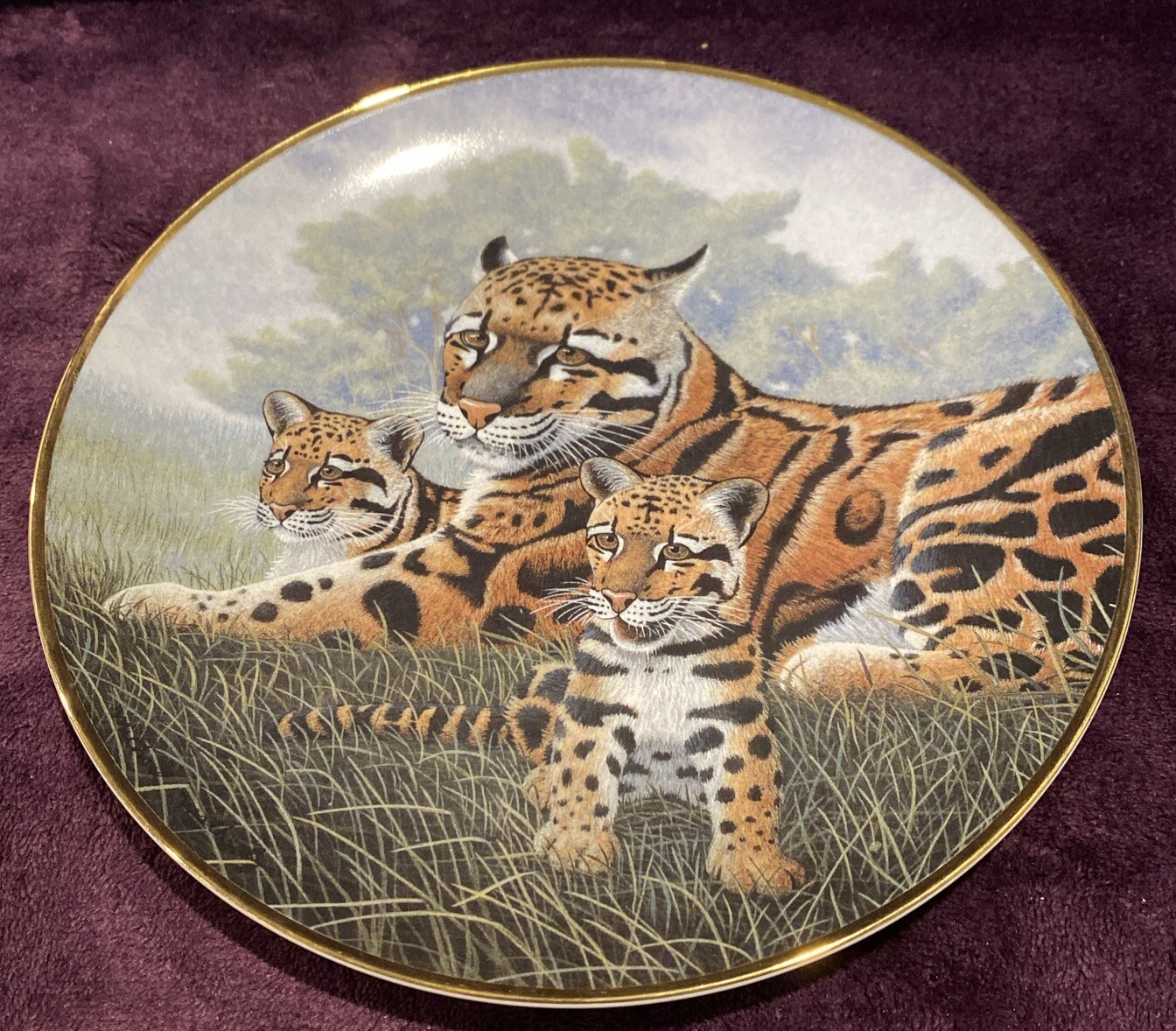 Decorative Plate 