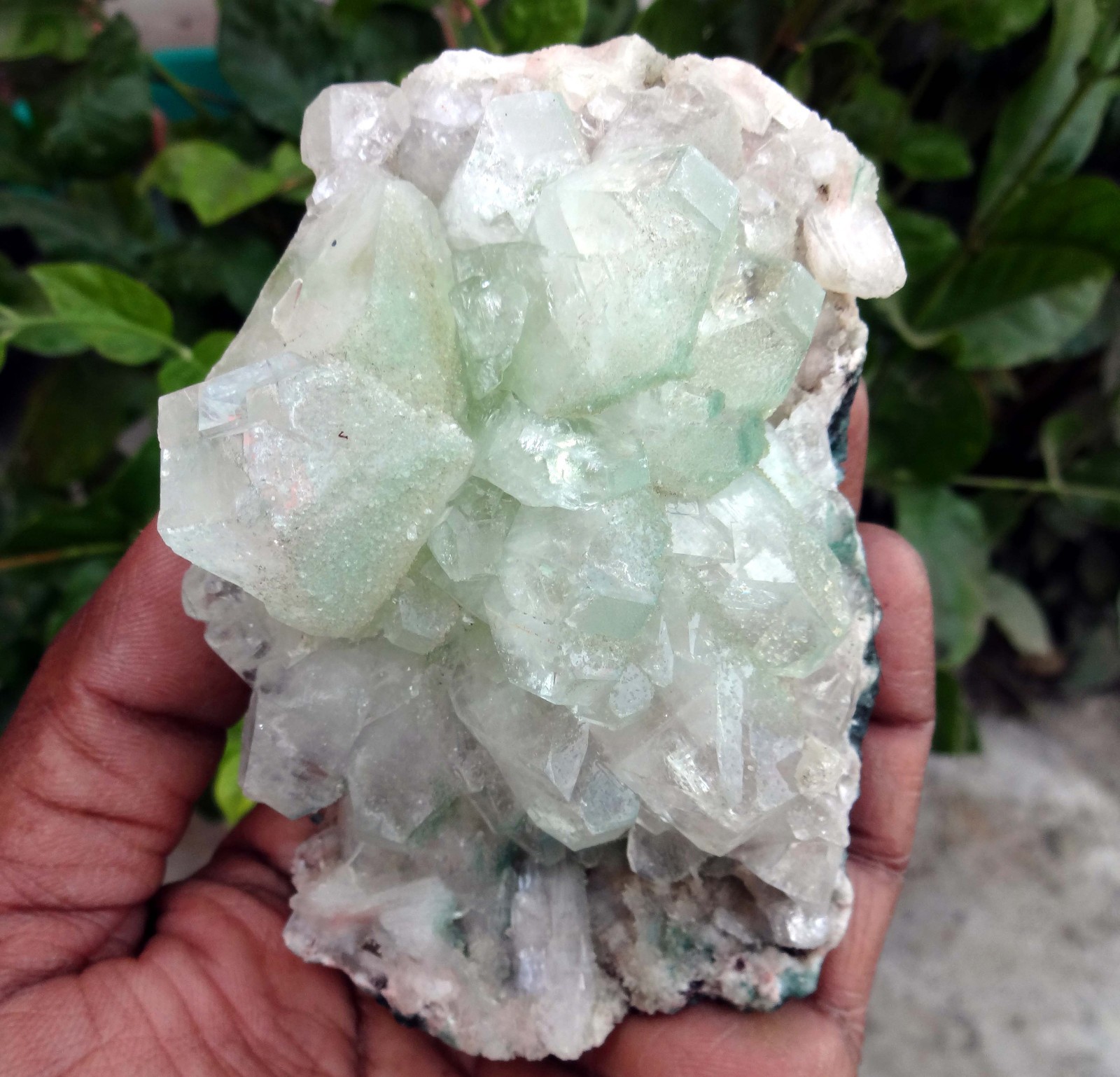 light green apophyllite crystals w/stilbite & marix minerals specimen o-10